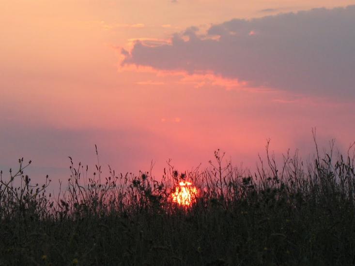 Батальне з panoramio.com - Батальное