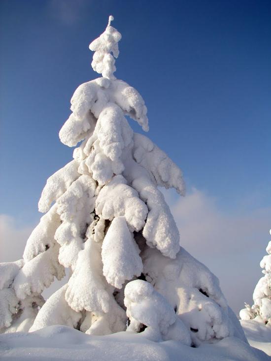 Баня-Березів з panoramio.com - Баня-Березов