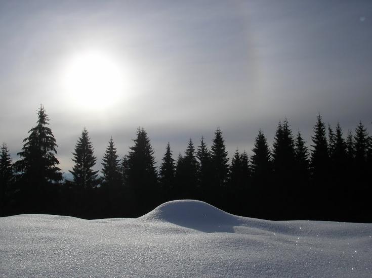 Усть-Чорна з panoramio.com - Усть-Чорна
