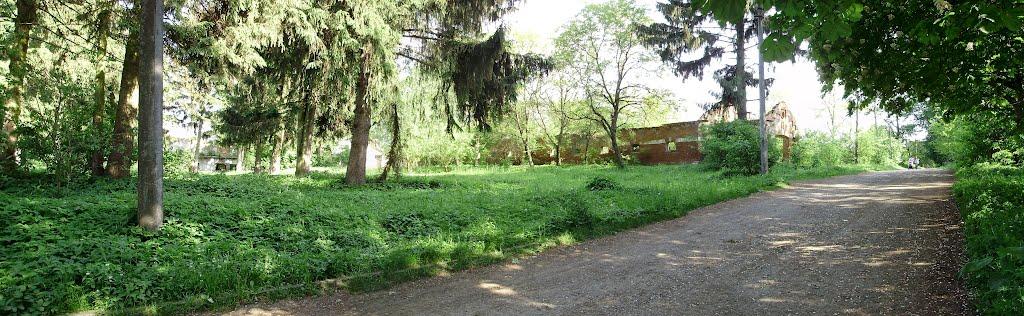Черниця з panoramio.com - Черниця
