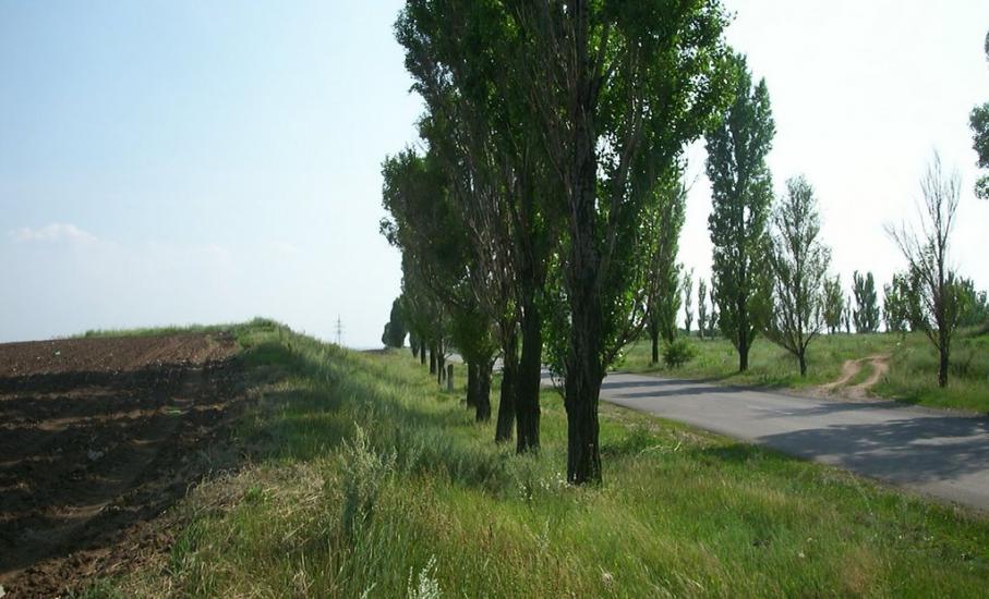 Доломітне з panoramio.com - Доломітне