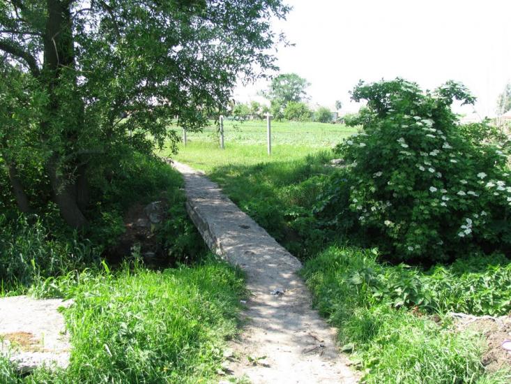 Циркуни з panoramio.com - Циркуны