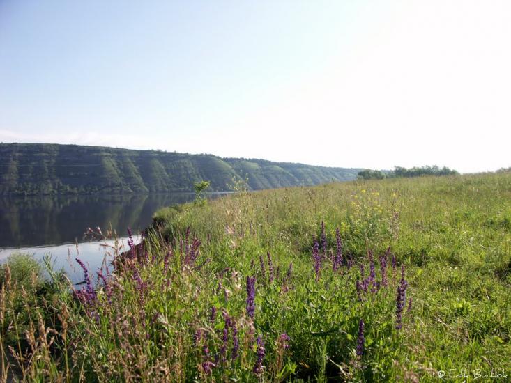 Дністрівка з panoramio.com - Днестровка