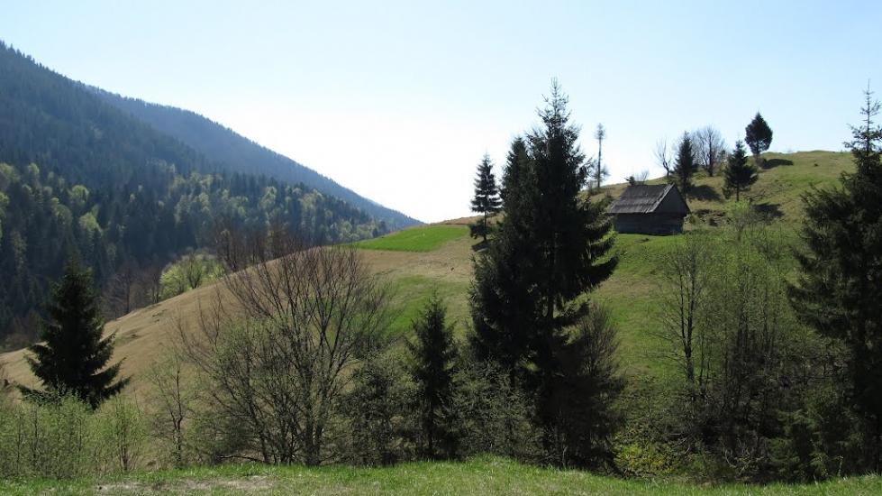 Стригальня з panoramio.com - Стригальняя