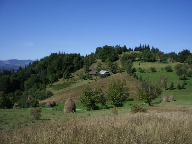 Бабин з panoramio.com - Бабин