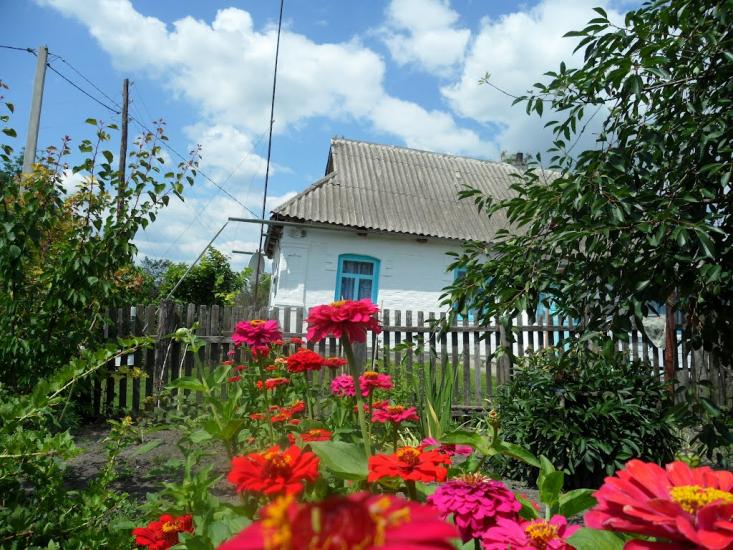 Сніжна з panoramio.com - Сніжна