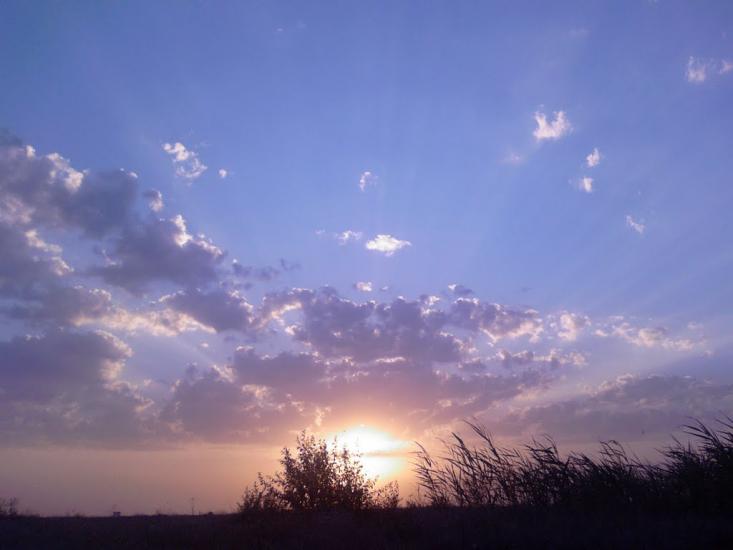 Більшовик з panoramio.com - Большевик