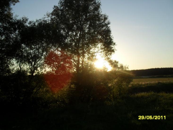 Стрижівка з panoramio.com - Стрижівка