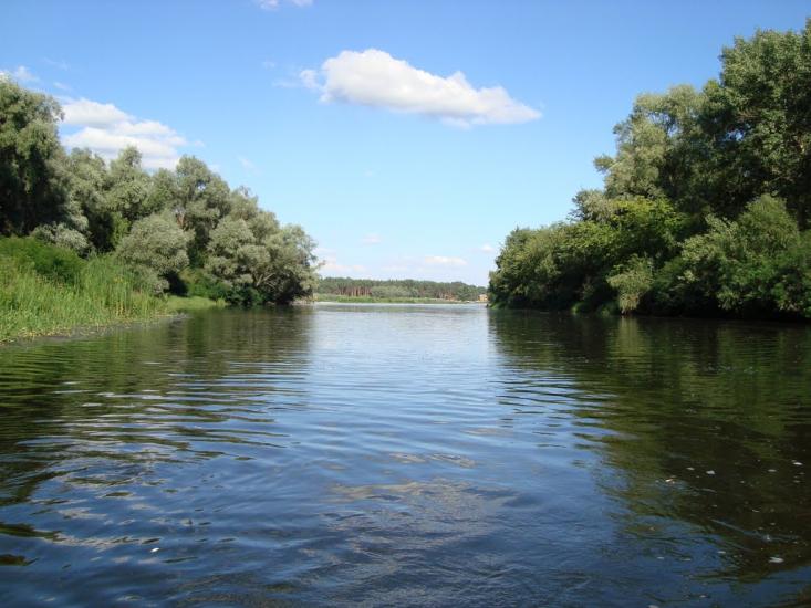 Келеберда з panoramio.com - Келеберда