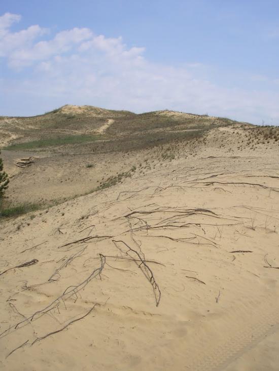 Раденськ з panoramio.com - Раденск
