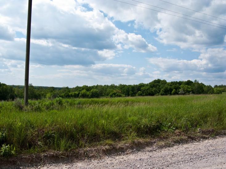 Григорівка з panoramio.com - Григорівка