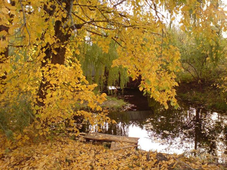 Алмазна з panoramio.com - Almazna