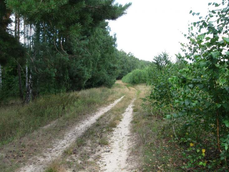 Макове з panoramio.com - Маково