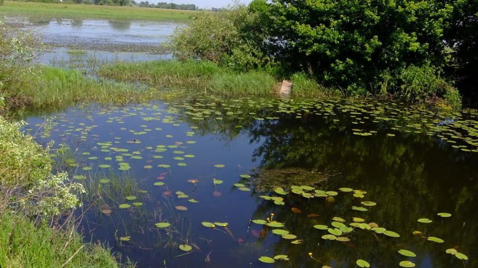 Хотянівка з panoramio.com - Хотяновка