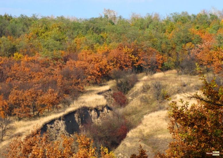 Горького з panoramio.com - Горького