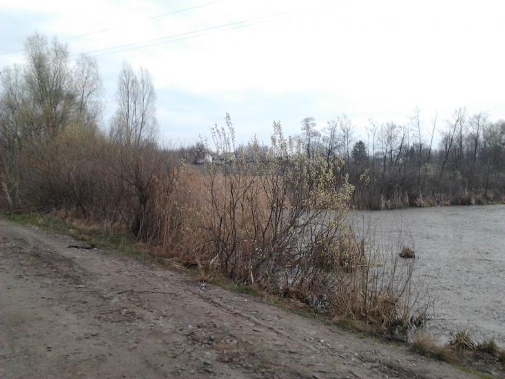 Рогачі з panoramio.com - Рогачи