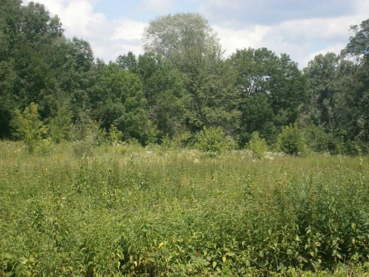 Шипилівка з panoramio.com - Shypylivka