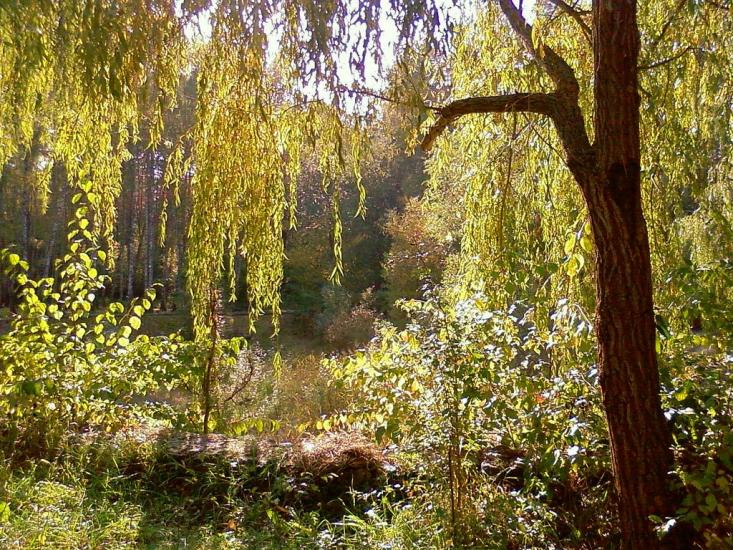 Стоянка з panoramio.com - Стоянка