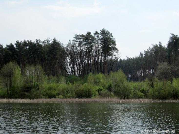 Бобриця з panoramio.com - Bobrytsya