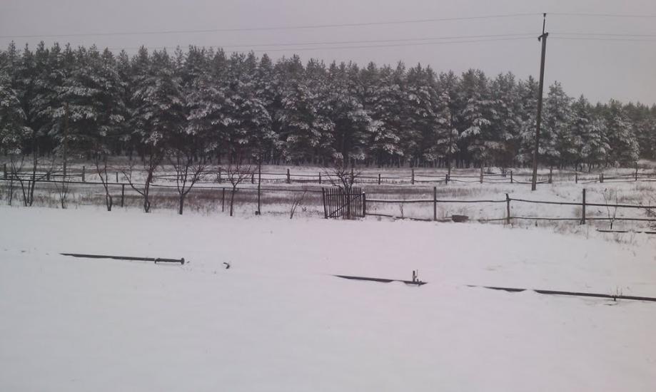 Борівське з panoramio.com - Борівське