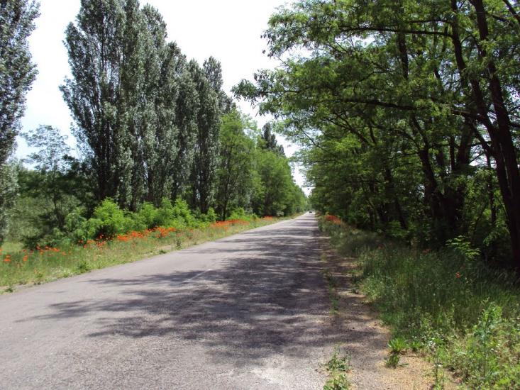 Великі Копані з panoramio.com - Великие Копани