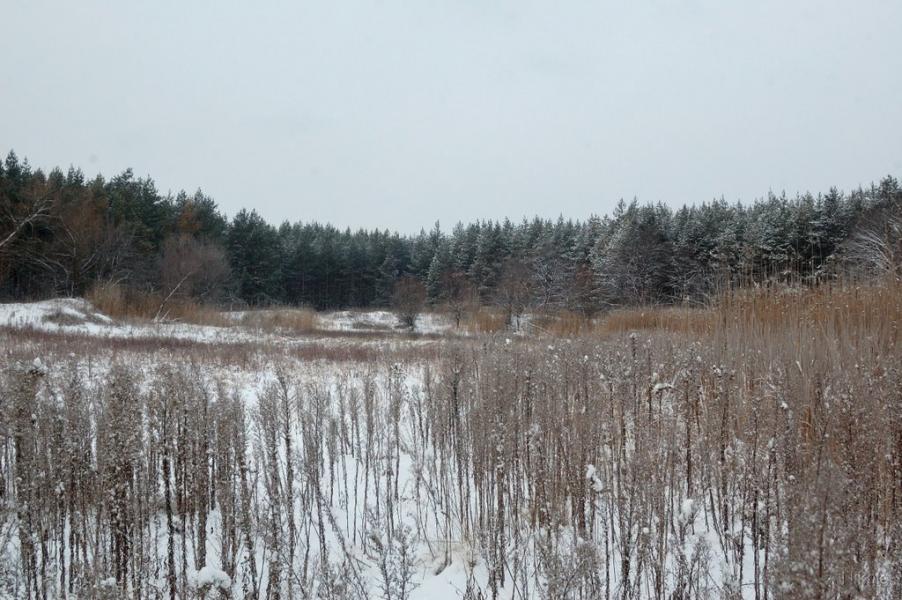 Борівське з panoramio.com - Борівське