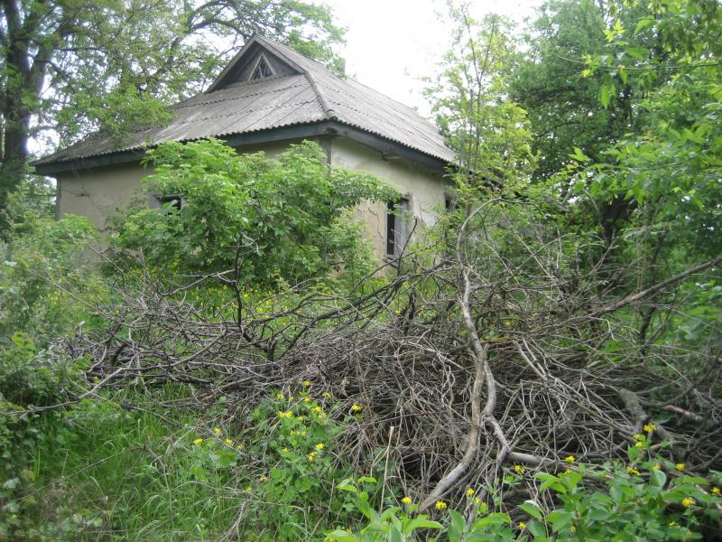 Северинівка - Севериновка