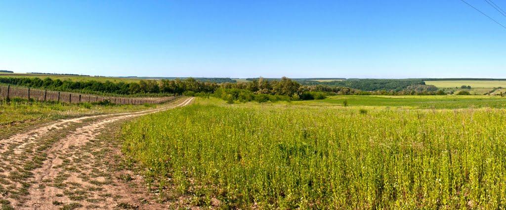 Черкасівка з panoramio.com - Черкасівка