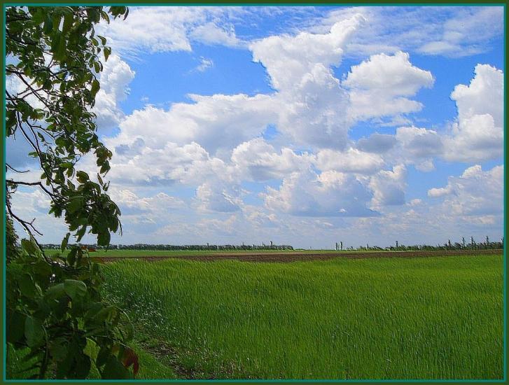 Доманівка з panoramio.com - Доманевка