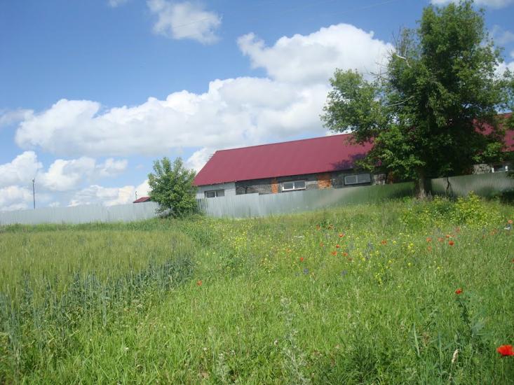 Малашівці з panoramio.com - Malashivtsi