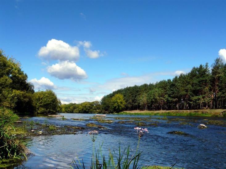 Скоморохи з panoramio.com - Скоморохи