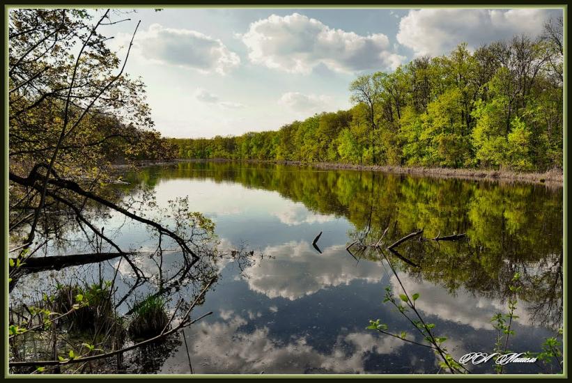 Дронівка з panoramio.com - Dronivka
