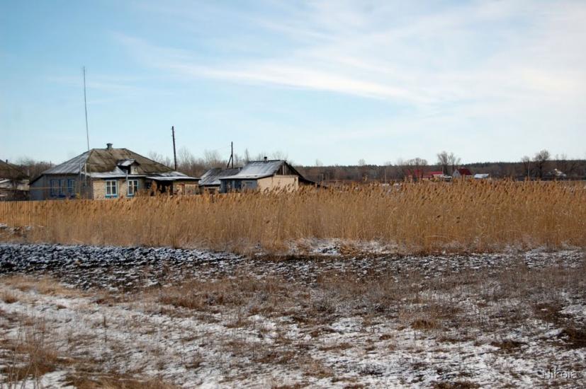 Боровеньки з panoramio.com - Боровеньки