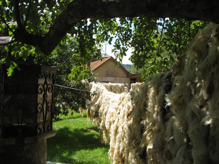 Соколівка з panoramio.com - Соколовка