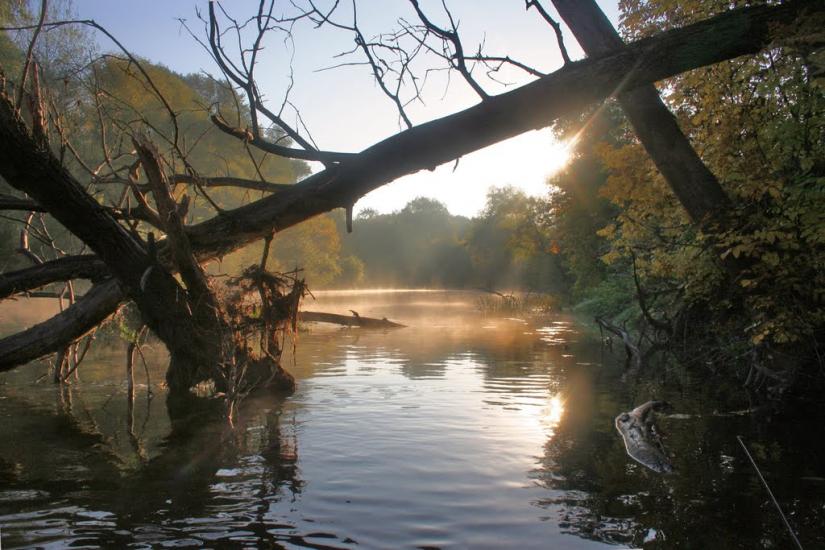 Юрки з panoramio.com - Yurky