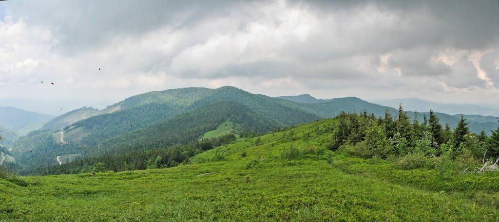 Кам'янка з panoramio.com - Каменка
