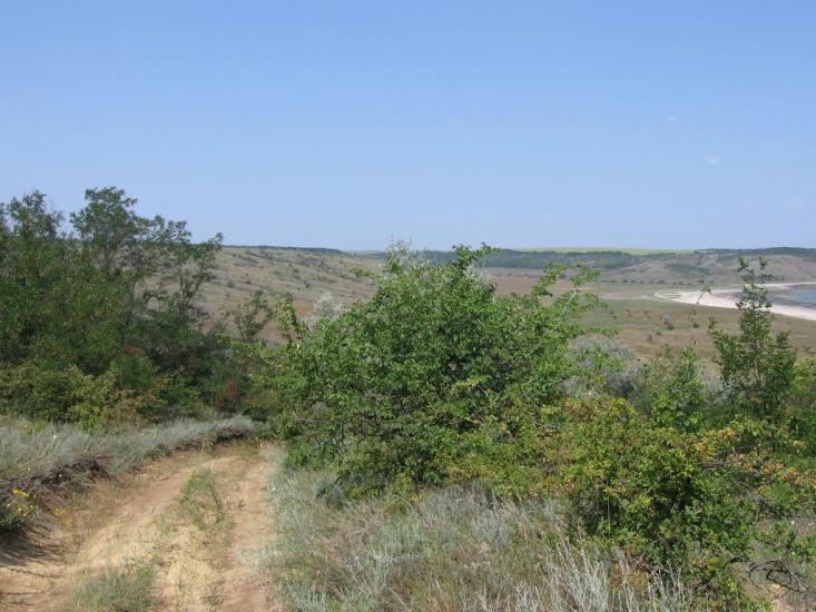 Калинівка з panoramio.com - Калиновка