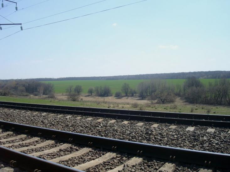 Чапаєвка з panoramio.com - Малые Коростовцы