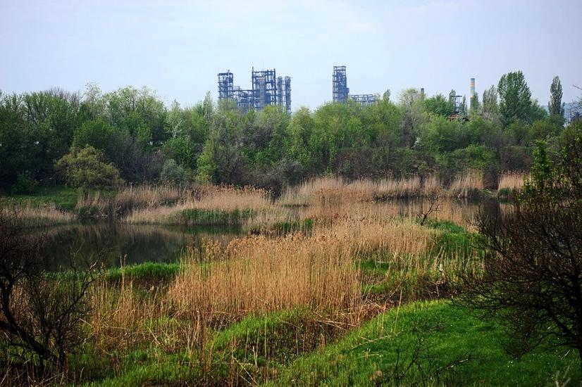 Новгородське з panoramio.com - Новгородське
