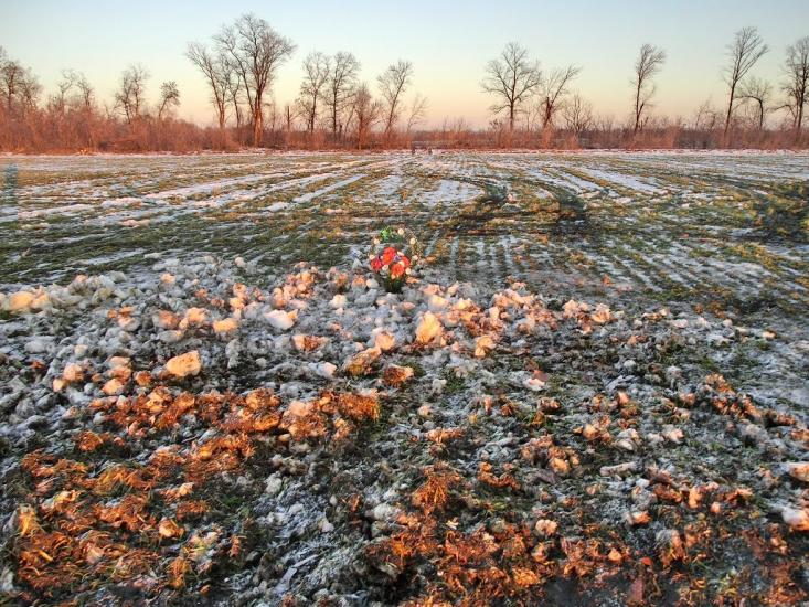 Сургани з panoramio.com - Сургани
