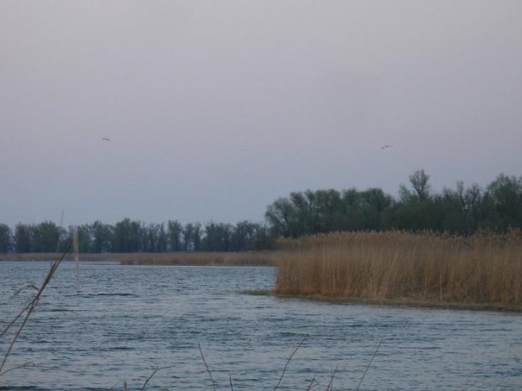 Солонці з panoramio.com - Solontsi