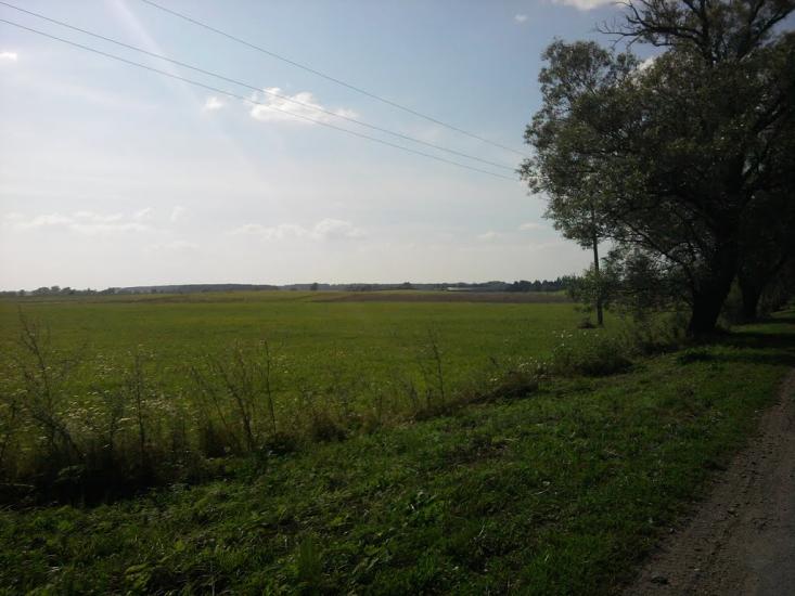 Терехівка з panoramio.com - Тереховка