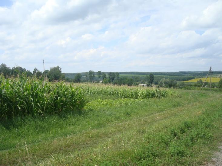 Маниківці з panoramio.com - Маниковцы