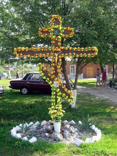 Нова Березівка з panoramio.com - Нова Березівка