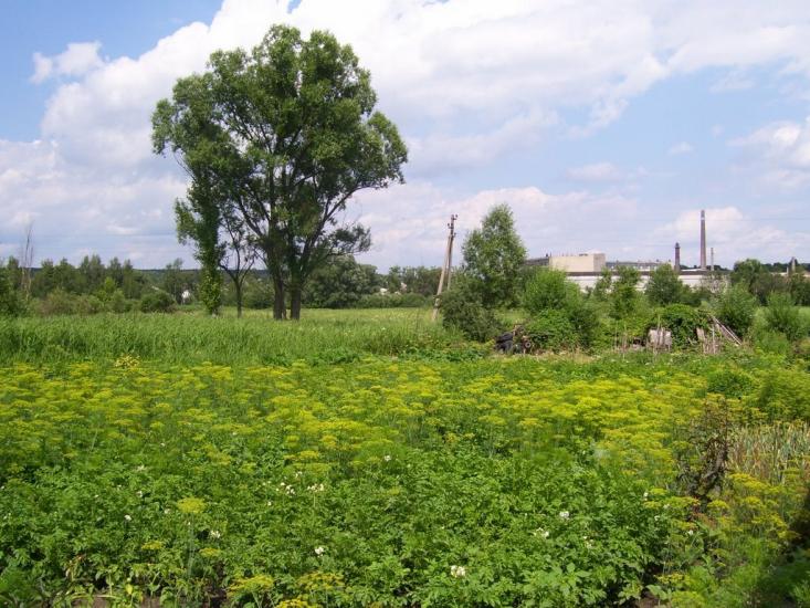 Буди з panoramio.com - Буди
