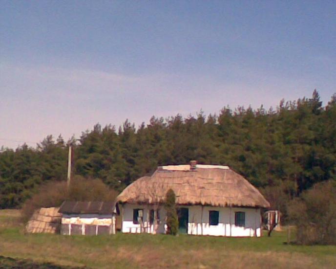 Кустолові Кущі з panoramio.com - Кустолові Кущі