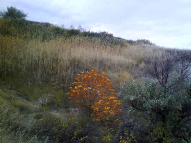 Сватове з panoramio.com - Svatove