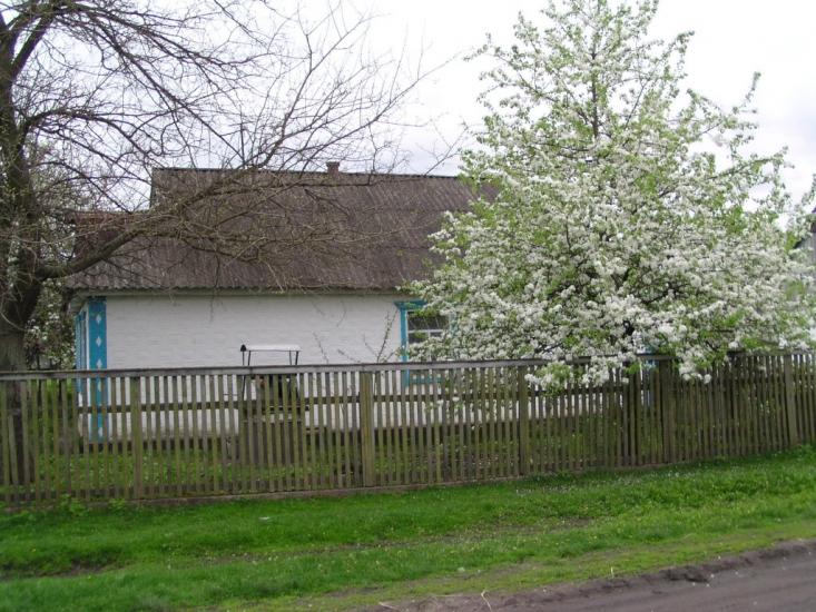 Іванівка з panoramio.com - Іванівка