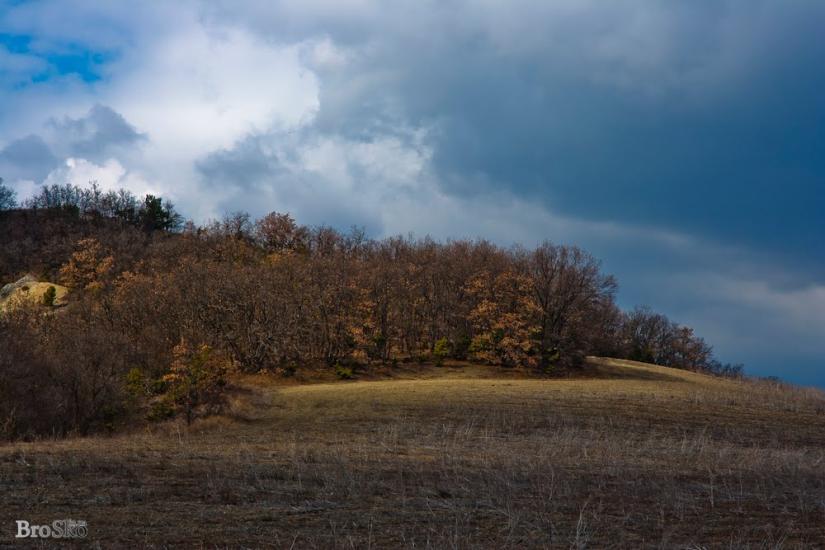 Білокам'яне з panoramio.com - Білокам'яне