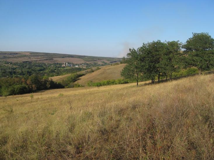 Бугаївка з panoramio.com - Бугаевка